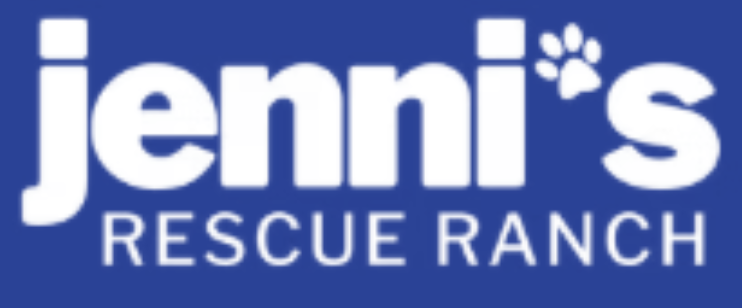 Untitled design - 2025-11-19T131420.313